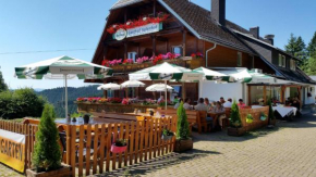 Отель Schwarzwaldgasthaus Salenhof  Титизее-Нойштадт